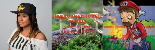 амф Михайловск