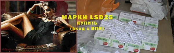 амф Михайловск