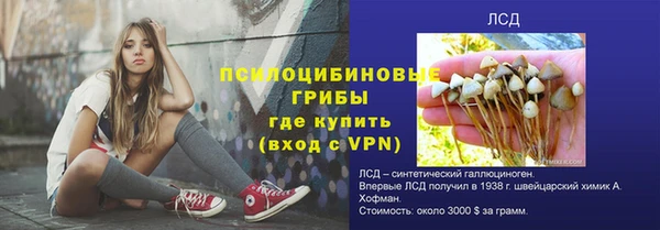 амф Михайловск